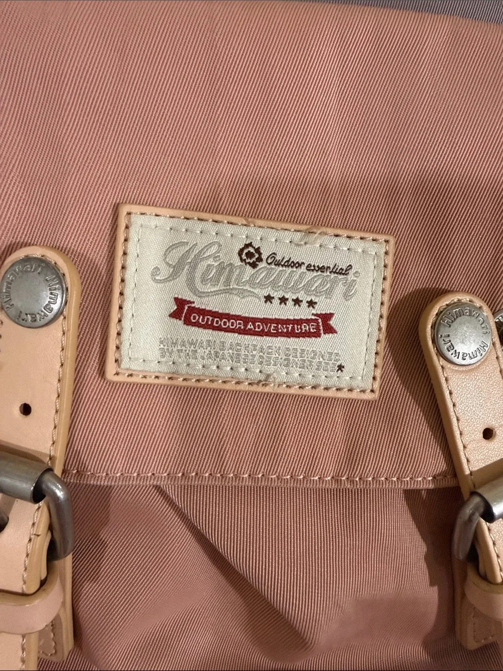 Two-Tone Pink and Gray Canvas Backpack with Leather Trim